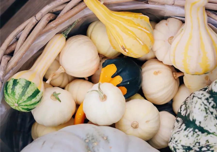 82C5CF06-417F-447A-8DAB-9A3AD073CEDA.JPG 82C5CF06-417F-447A-8DAB-9A3AD073CEDA.JPG