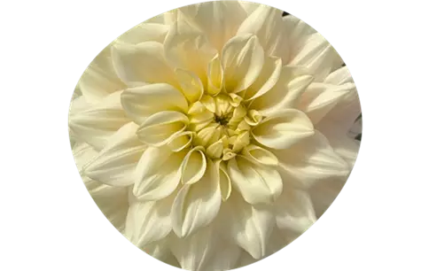 layout_960_610px-sommer2.png layout_960_610px-sommer2.png